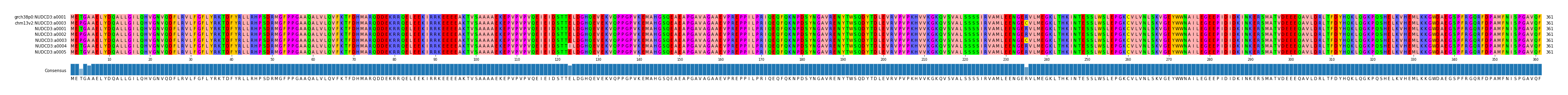 Multiple Alignments (by translate haplotype frequency)