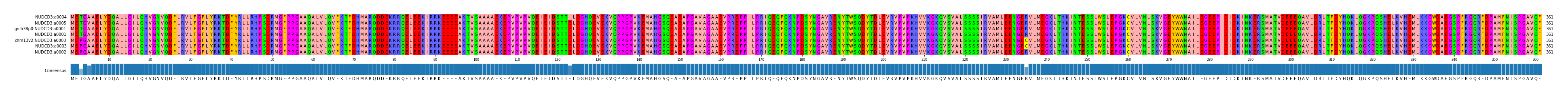 Multiple Alignments (by translate haplotype similarity)