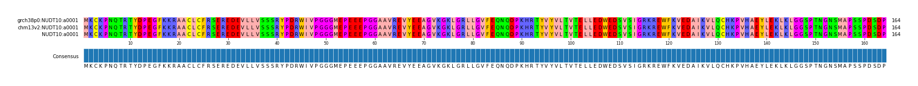 Multiple Alignments (by translate haplotype similarity)