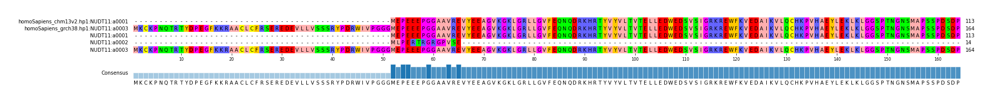 Multiple Alignments (by translate haplotype frequency)