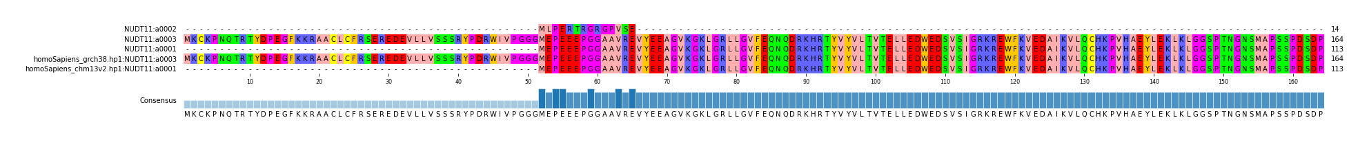Multiple Alignments (by translate haplotype similarity)