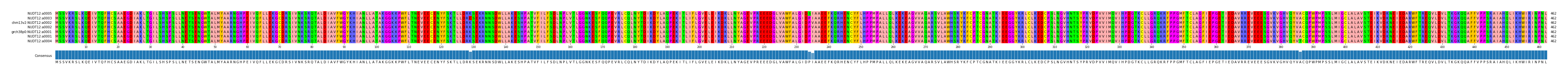 Multiple Alignments (by translate haplotype similarity)
