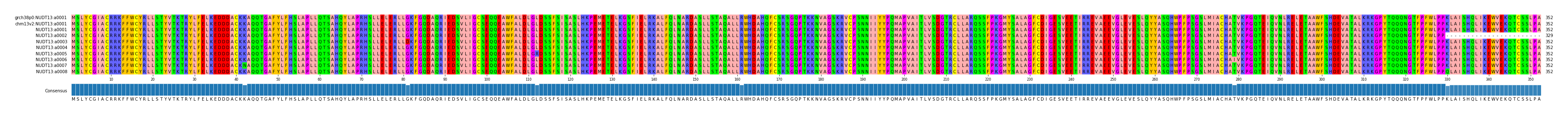 Multiple Alignments (by translate haplotype frequency)