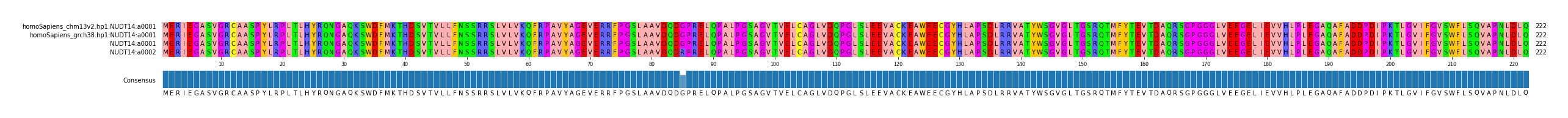 Multiple Alignments (by translate haplotype similarity)
