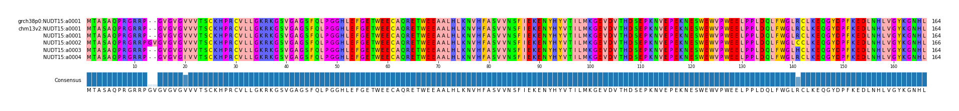 Multiple Alignments (by translate haplotype frequency)