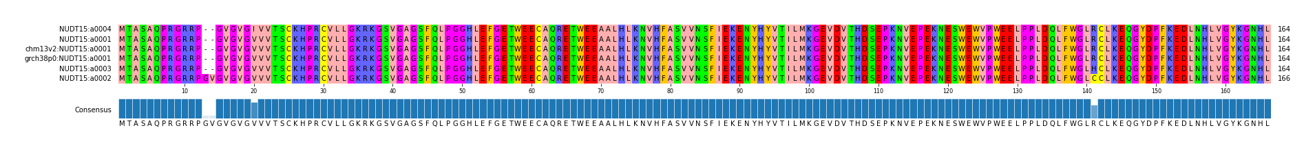 Multiple Alignments (by translate haplotype similarity)