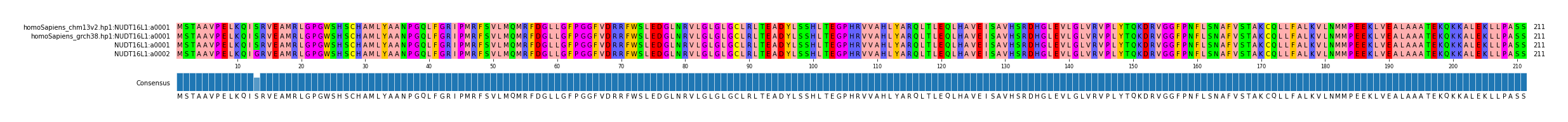 Multiple Alignments (by translate haplotype frequency)