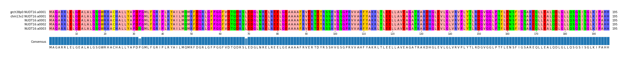 Multiple Alignments (by translate haplotype frequency)