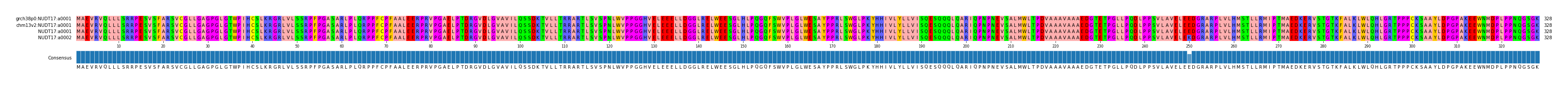 Multiple Alignments (by translate haplotype similarity)