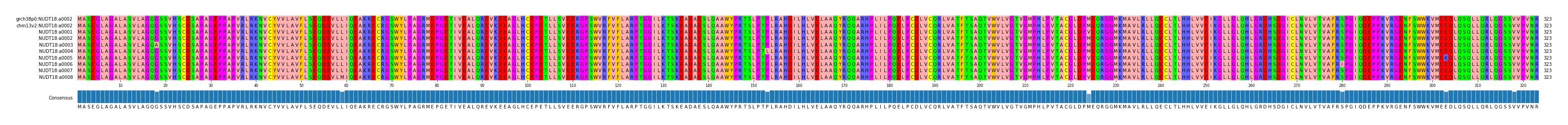Multiple Alignments (by translate haplotype frequency)