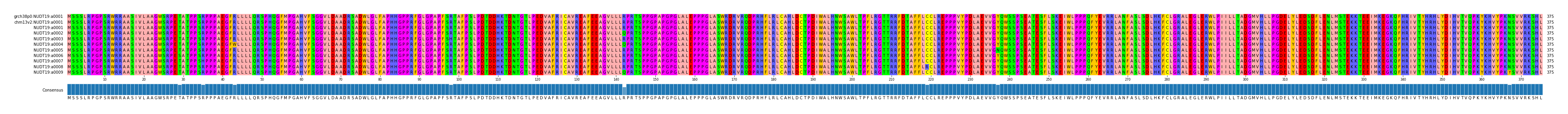 Multiple Alignments (by translate haplotype frequency)