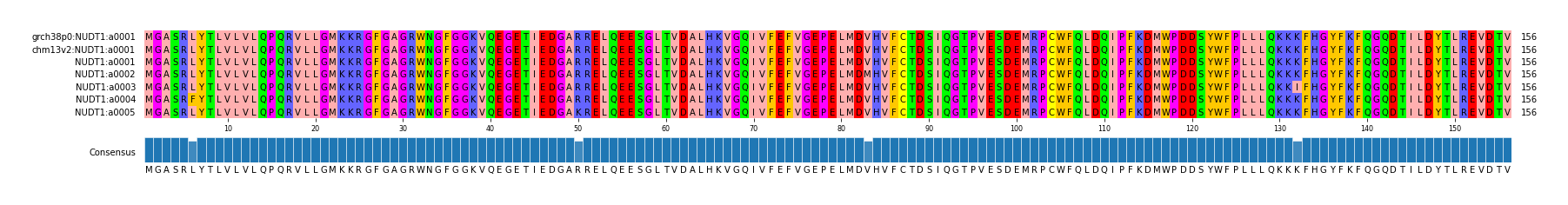 Multiple Alignments (by translate haplotype frequency)