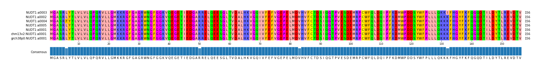 Multiple Alignments (by translate haplotype similarity)