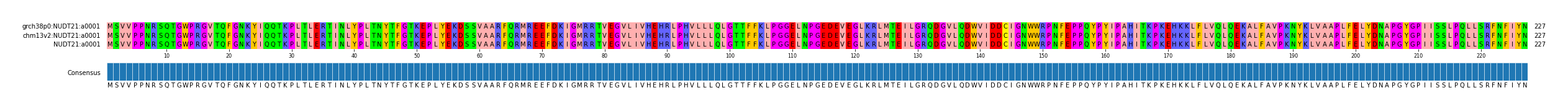 Multiple Alignments (by translate haplotype similarity)