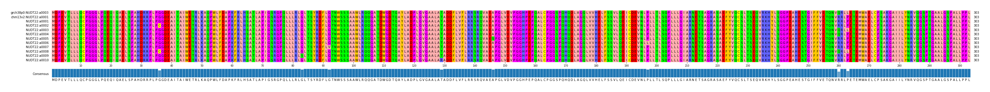 Multiple Alignments (by translate haplotype frequency)