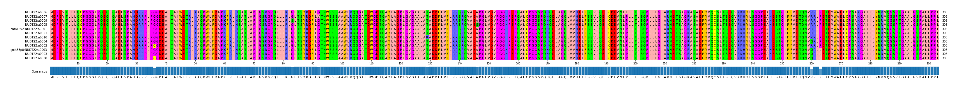 Multiple Alignments (by translate haplotype similarity)