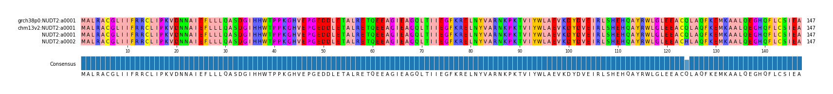 Multiple Alignments (by translate haplotype frequency)