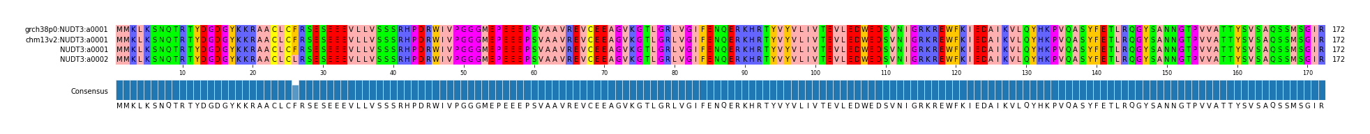 Multiple Alignments (by translate haplotype similarity)