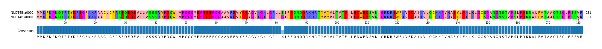 Multiple Alignments (by translate haplotype similarity)