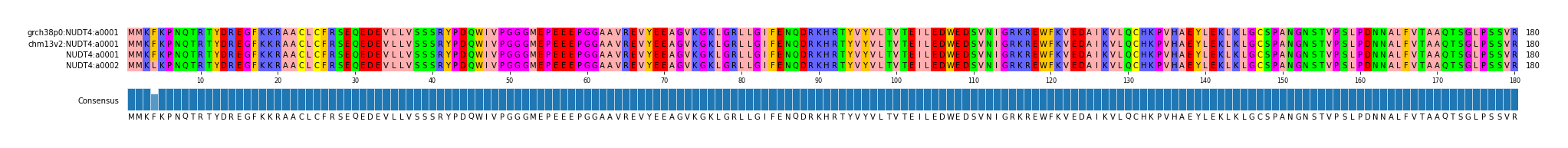 Multiple Alignments (by translate haplotype similarity)