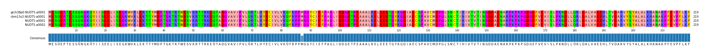 Multiple Alignments (by translate haplotype similarity)