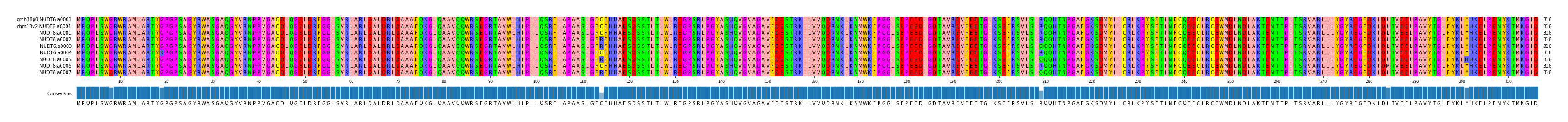 Multiple Alignments (by translate haplotype frequency)
