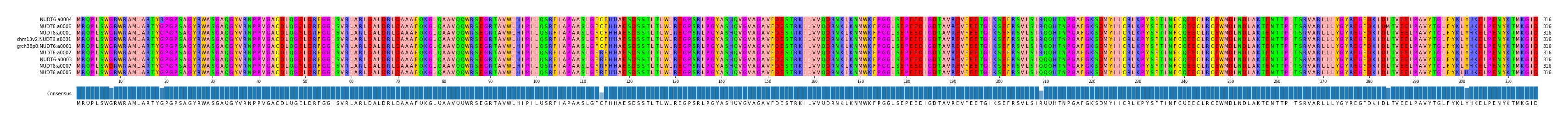 Multiple Alignments (by translate haplotype similarity)