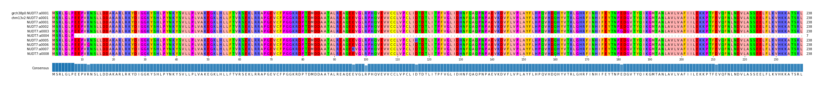 Multiple Alignments (by translate haplotype frequency)