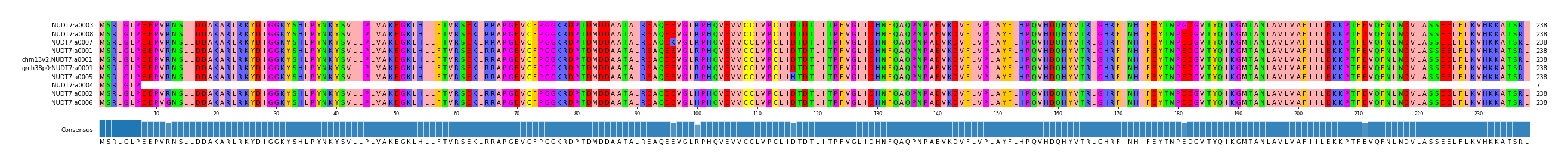 Multiple Alignments (by translate haplotype similarity)