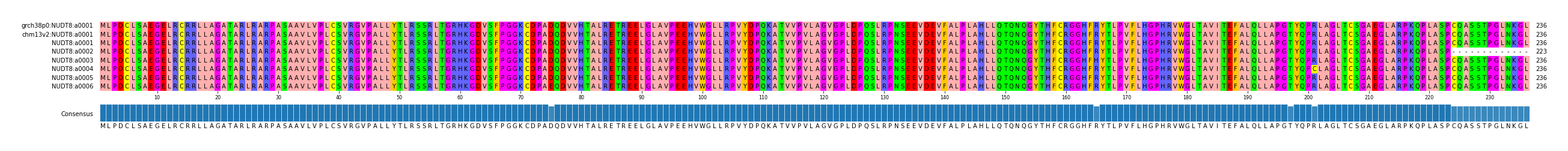 Multiple Alignments (by translate haplotype frequency)
