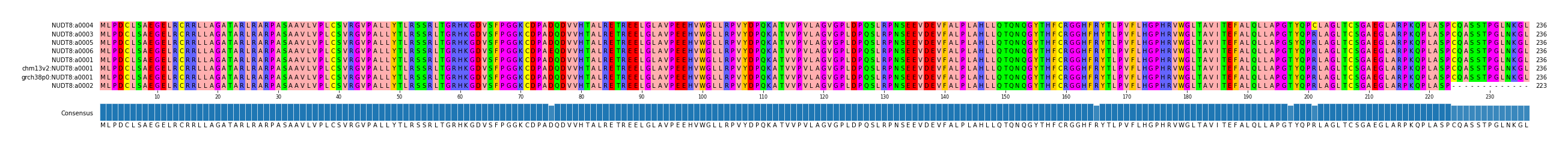 Multiple Alignments (by translate haplotype similarity)
