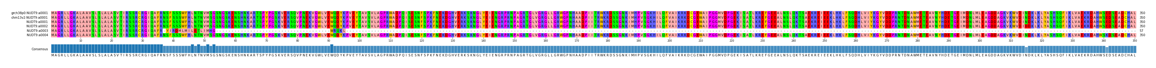 Multiple Alignments (by translate haplotype frequency)