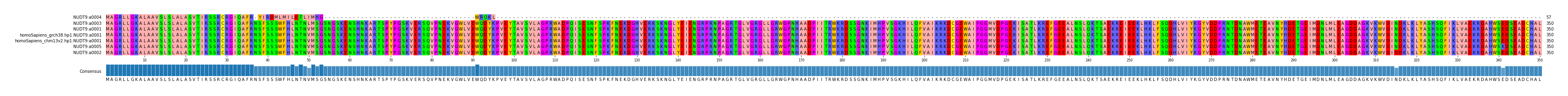 Multiple Alignments (by translate haplotype similarity)