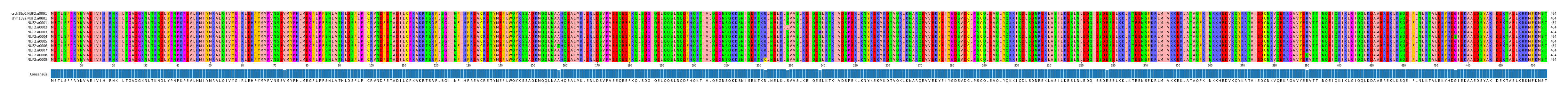 Multiple Alignments (by translate haplotype frequency)