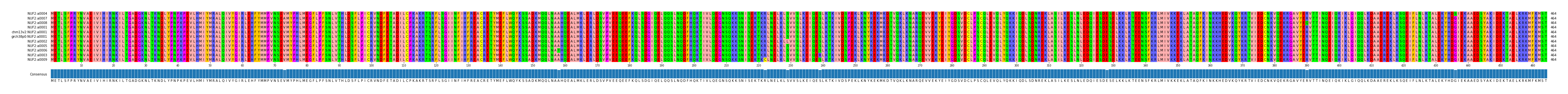 Multiple Alignments (by translate haplotype similarity)