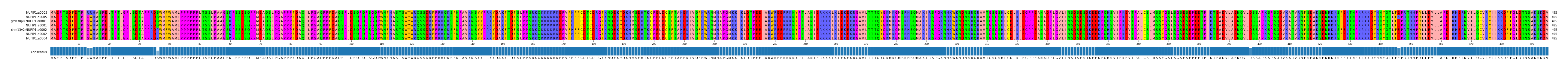 Multiple Alignments (by translate haplotype similarity)