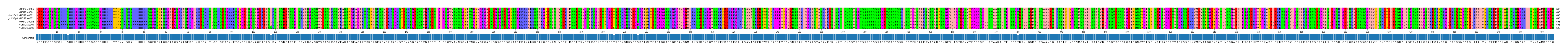 Multiple Alignments (by translate haplotype similarity)