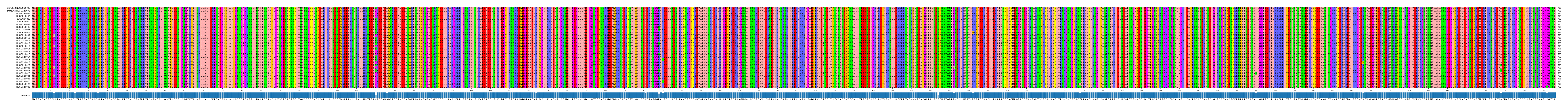 Multiple Alignments (by translate haplotype frequency)