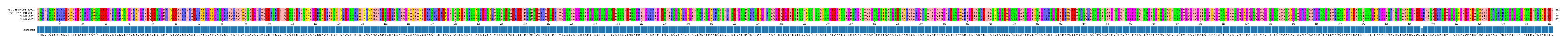 Multiple Alignments (by translate haplotype similarity)