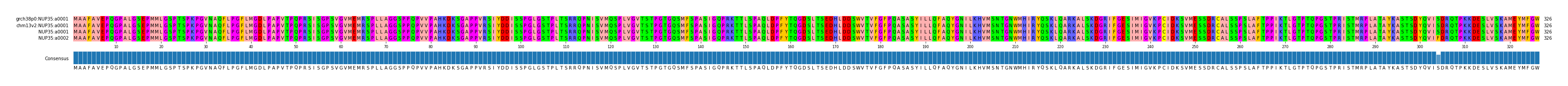 Multiple Alignments (by translate haplotype frequency)