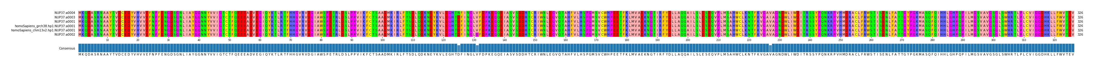 Multiple Alignments (by translate haplotype similarity)