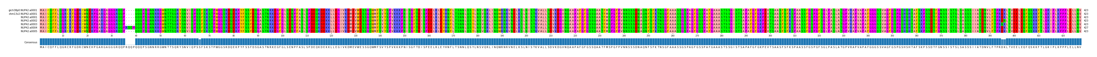 Multiple Alignments (by translate haplotype frequency)