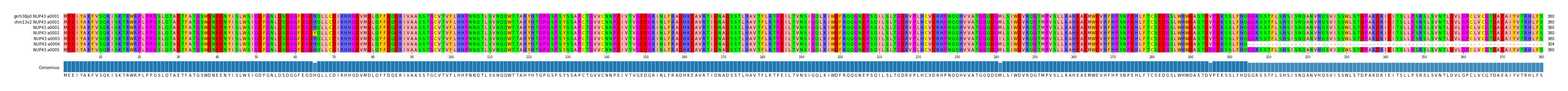 Multiple Alignments (by translate haplotype frequency)