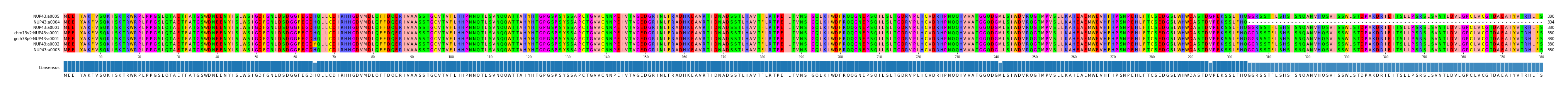 Multiple Alignments (by translate haplotype similarity)