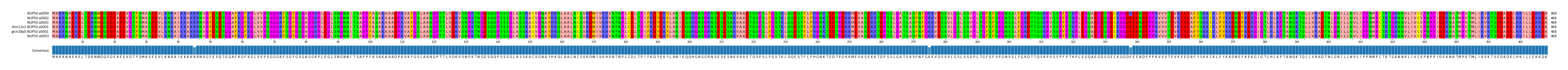 Multiple Alignments (by translate haplotype similarity)