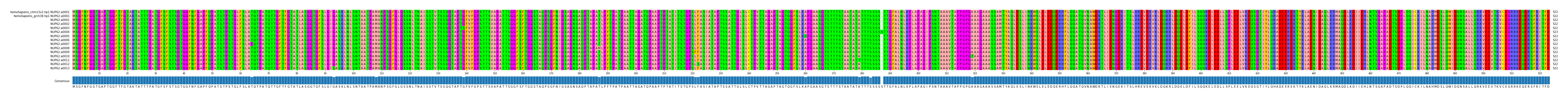 Multiple Alignments (by translate haplotype frequency)
