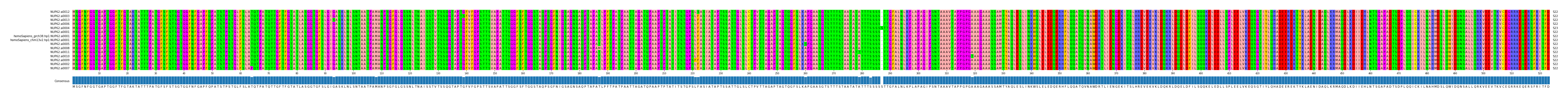 Multiple Alignments (by translate haplotype similarity)