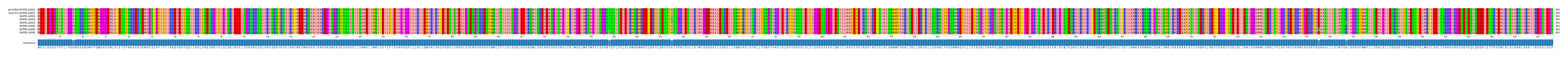 Multiple Alignments (by translate haplotype frequency)