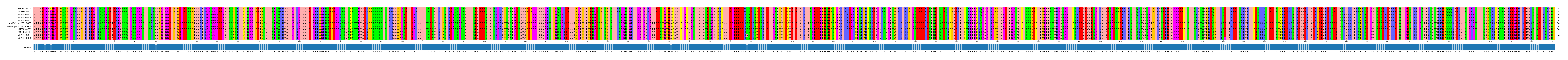 Multiple Alignments (by translate haplotype similarity)