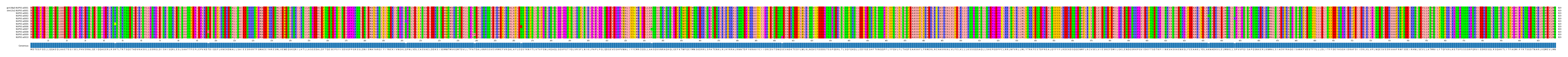 Multiple Alignments (by translate haplotype frequency)